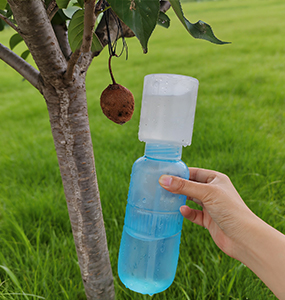 Fruit enlargement tool