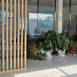 In front of our company