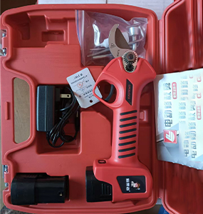 Electric pruning shears