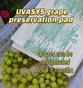 Grape refrigerated products